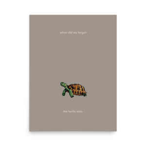 slow turtle