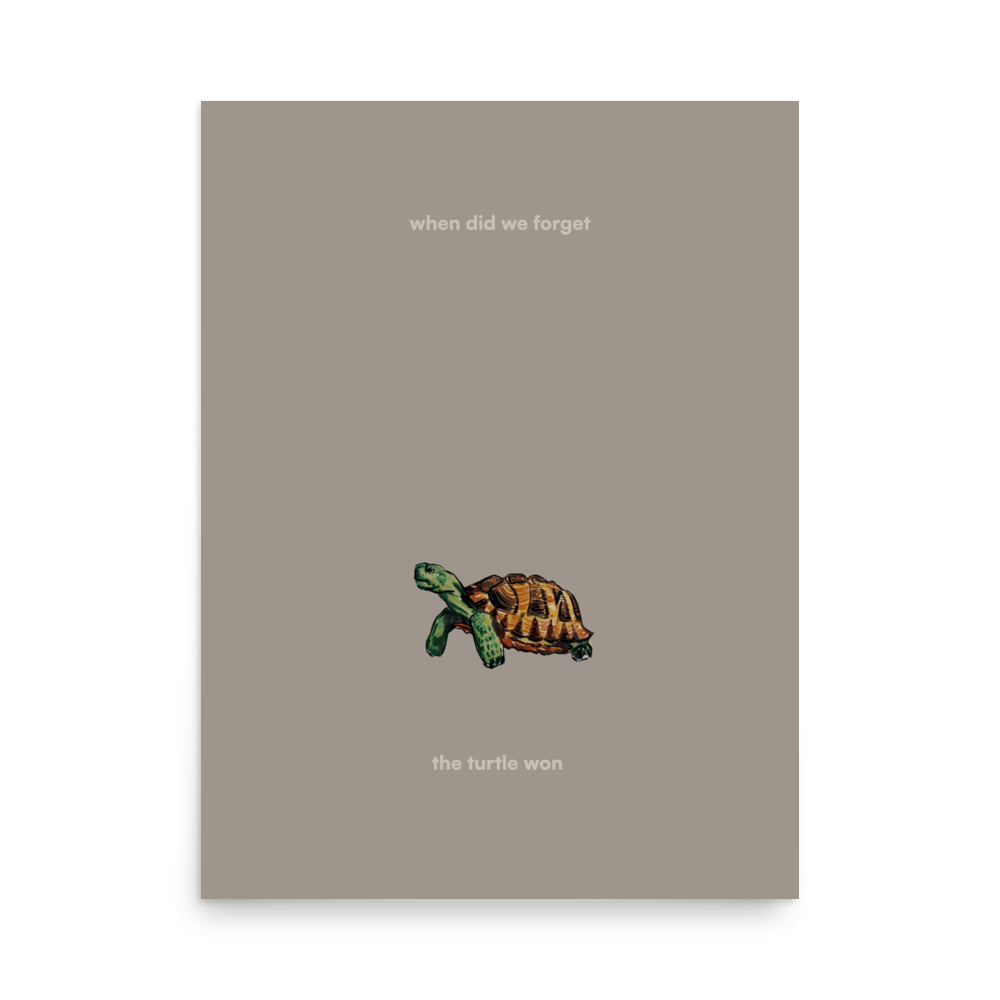 slow turtle